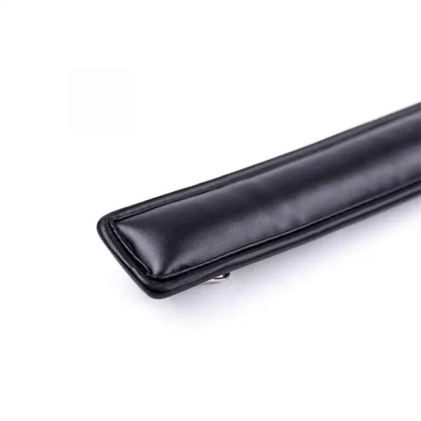 Colar BDSM com Trela Fetish Addict