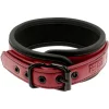 Colar e Trela Fetish Submissive Dark Room