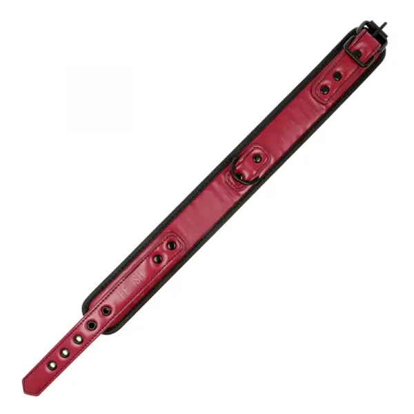 Colar e Trela Fetish Submissive Dark Room