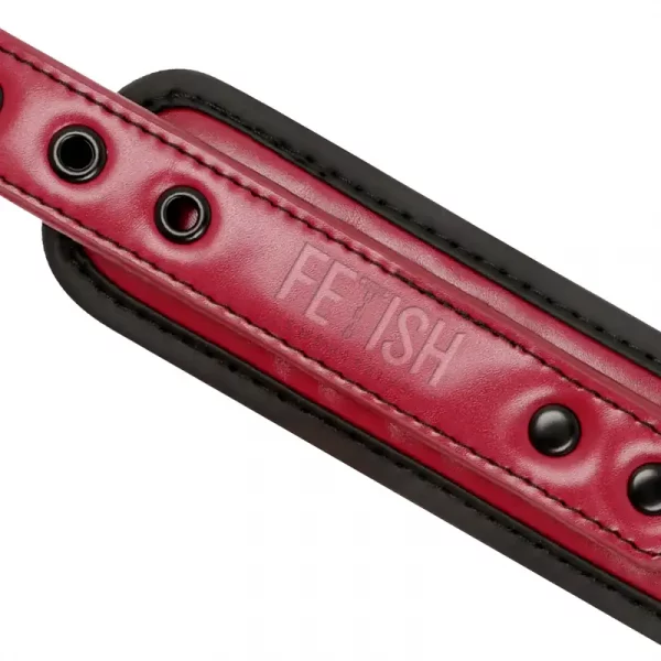 Colar e Trela Fetish Submissive Dark Room