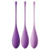Conjunto de Bolas Vaginais Fantasy For Her Kegel Train-Her Set