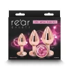 Conjunto de Plugs Metálicos Rear Assets Trainer Kit