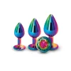 Conjunto de Plugs Metálicos Rear Assets Trainer Kit Multicolor