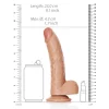 Dildo Curved com Testículos 8"/20,5 cm Mulato