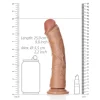 Dildo Curved sem Testículos 9"/23 cm Mulato