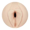 Fleshlight Girls Alexis Texas - Vagina Outlaw