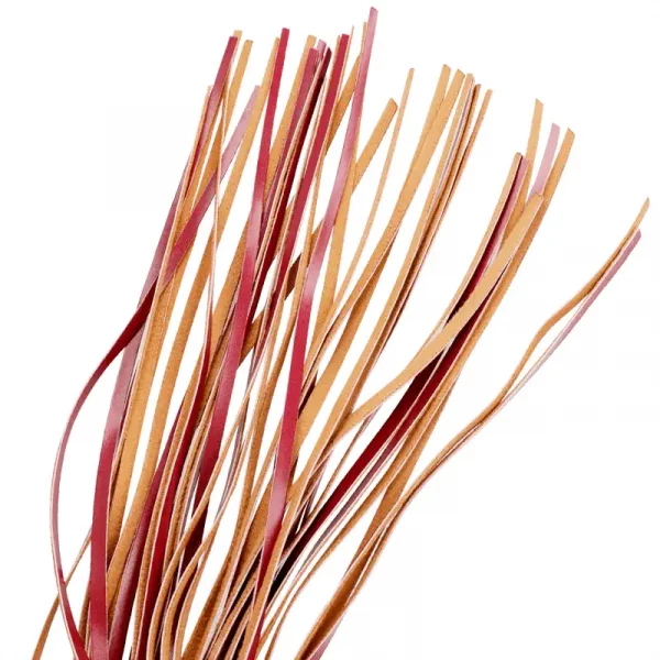 Flogger Fetish Submissive Dark Room