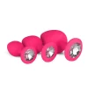 Kit de Plugs Anais Rosa com Cristal Easytoys