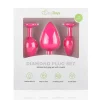 Kit de Plugs Anais Rosa com Cristal Easytoys
