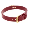 O-RIng Collar Taboom