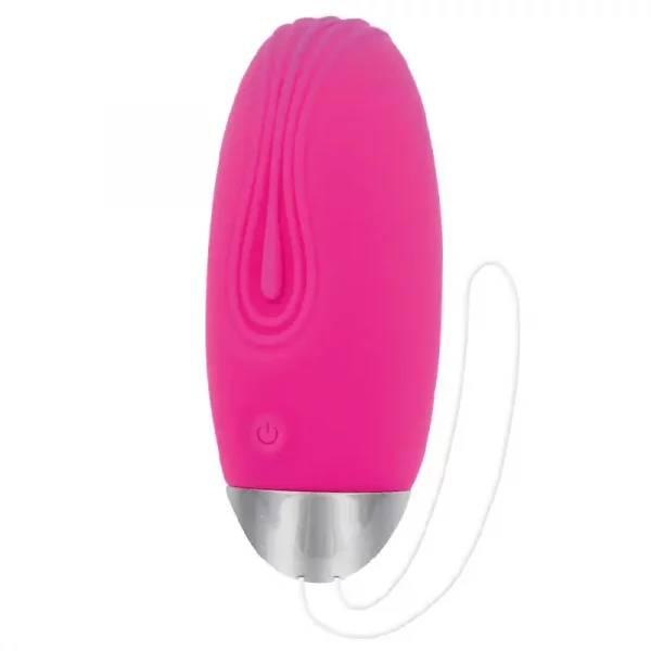 Ovo Vibratório Toy Joy Funky Remote Egg