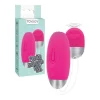 Ovo Vibratório Toy Joy Funky Remote Egg