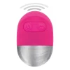 Ovo Vibratório Toy Joy Funky Remote Egg