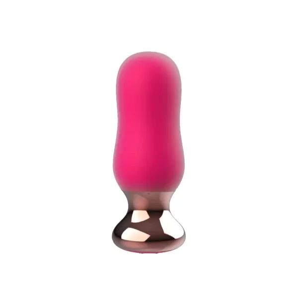 Plug Anal com Comando The Exquisite