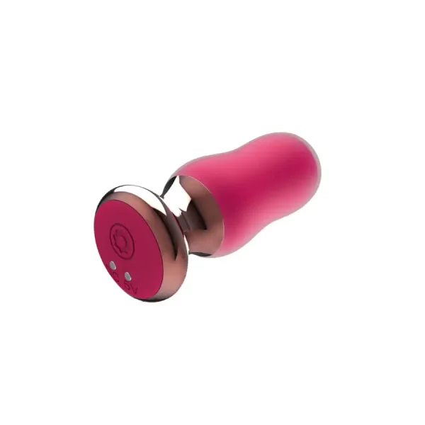 Plug Anal com Comando The Exquisite