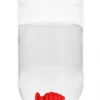 Plug Anal XL Ribbed Diamond Heart Vermelho Ouch!