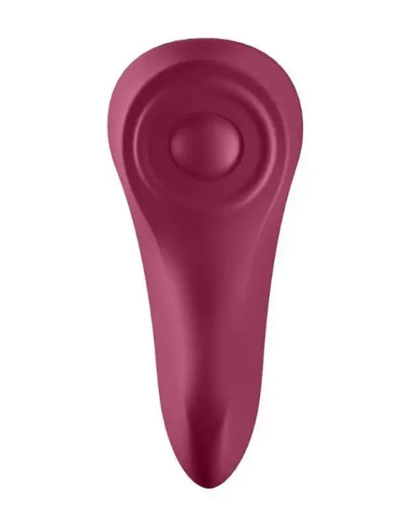 Vibrador Satisfyer Sexy Secret Com App Connect