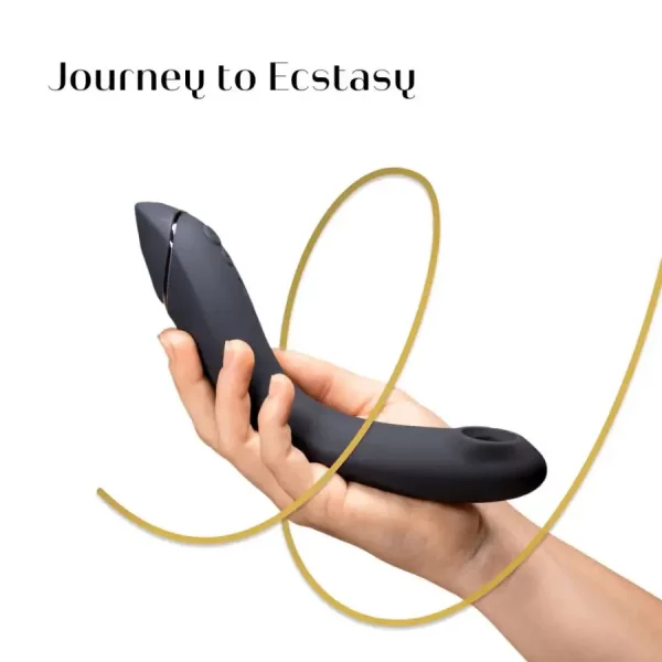 Womanizer OG Slate