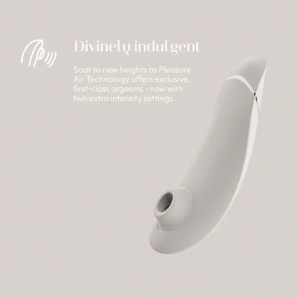 Womanizer Premium 2 Cinzento